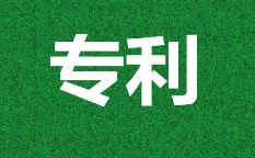 专利使用授权书的生效要件有哪些